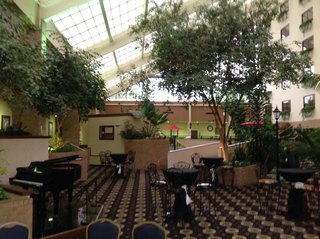 מלון Wyndham Garden אמארילו מראה חיצוני תמונה