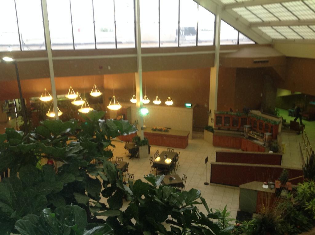 מלון Wyndham Garden אמארילו מראה חיצוני תמונה