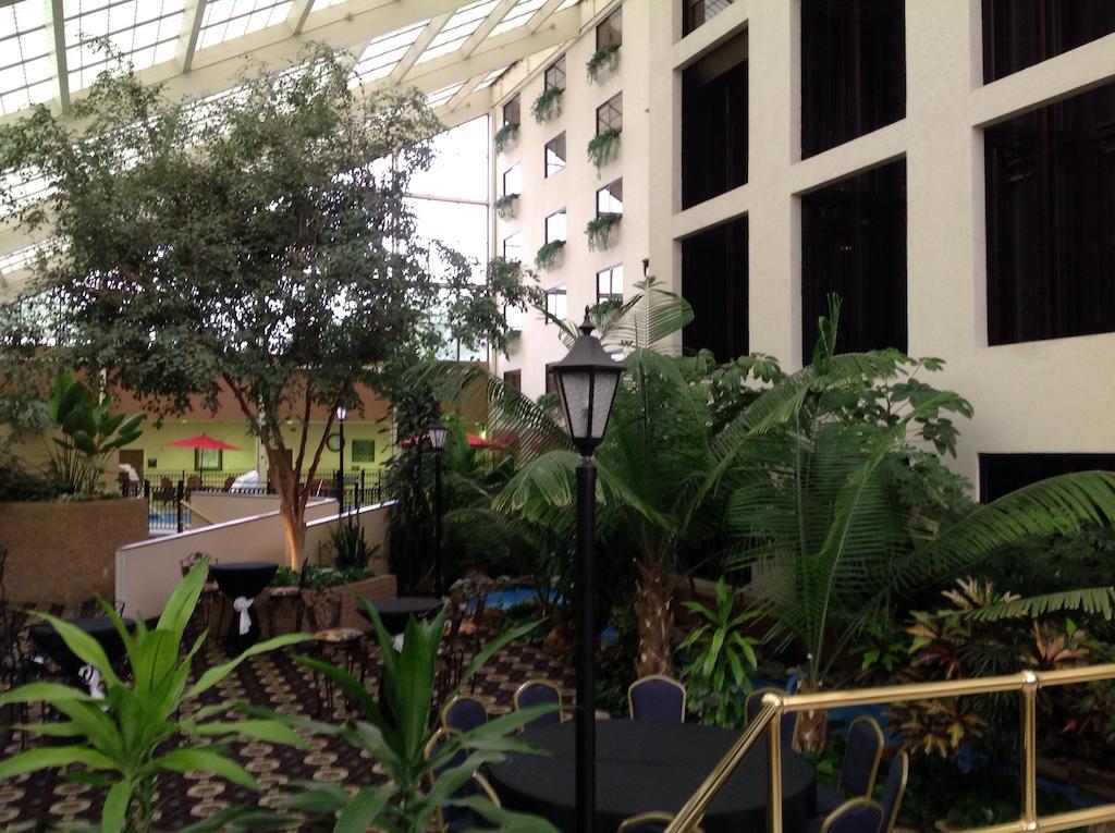 מלון Wyndham Garden אמארילו מראה חיצוני תמונה