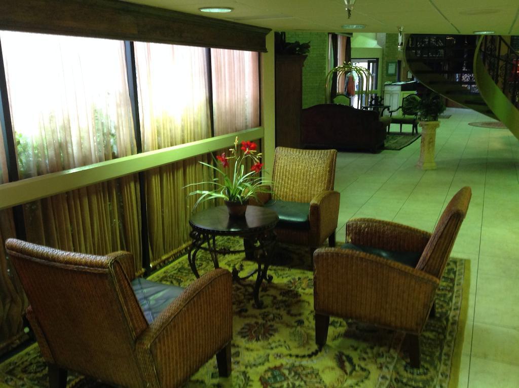 מלון Wyndham Garden אמארילו מראה חיצוני תמונה